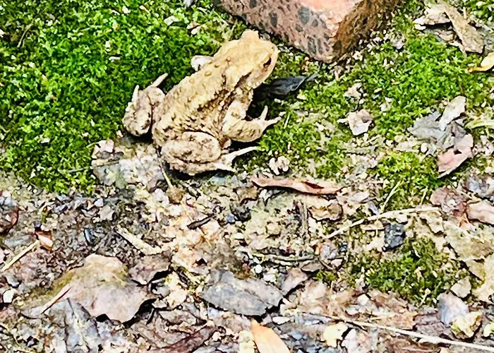 Chez Fritz Et Paulette * Siersthal